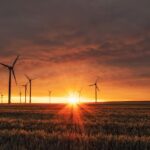 Certificazione e sostenibilità ambientale nell’industria alimentare: ridurre acqua, energia e sprechi
