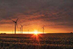 Certificazione e sostenibilità ambientale nell’industria alimentare: ridurre acqua, energia e sprechi