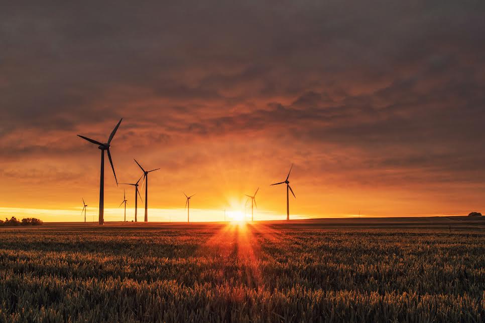 Certificazione e sostenibilità ambientale nell’industria alimentare: ridurre acqua, energia e sprechi